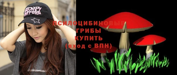твердый Ельня