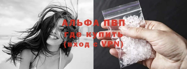 шишки Заводоуковск