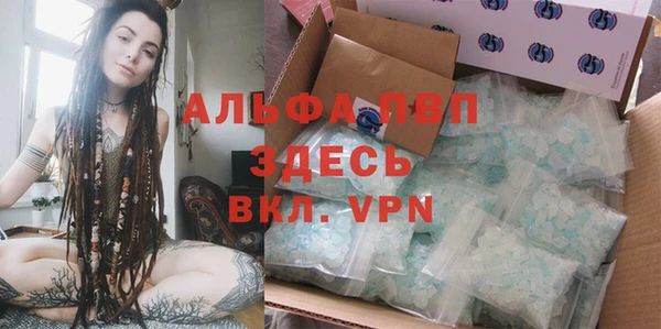 твердый Ельня