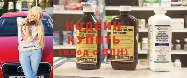 шишки Заводоуковск