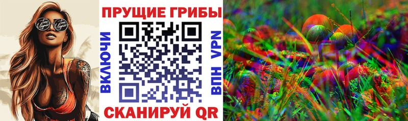 где можно купить наркотик  Мегион  Псилоцибиновые грибы ЛСД 