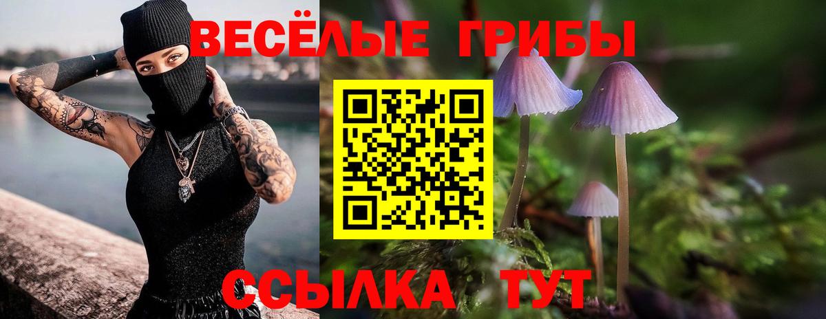 Псилоцибиновые грибы ЛСД Мегион